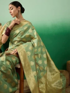 Banarasi Silk Sarees 2