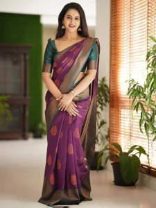 Kanjivaram silk saress 2